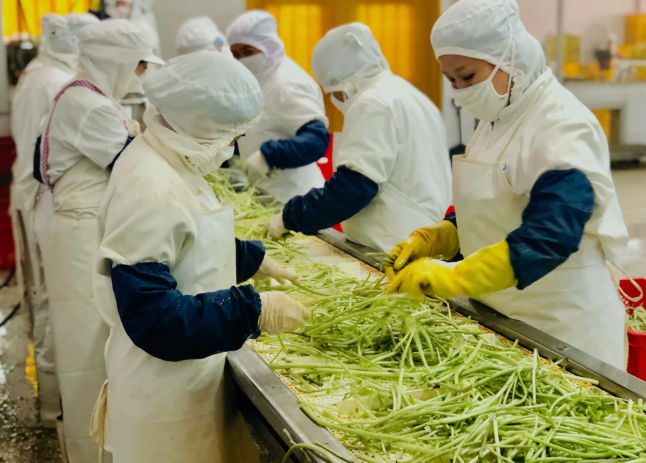 三種食品污水處理設(shè)備工藝流程，看看哪種適合您？